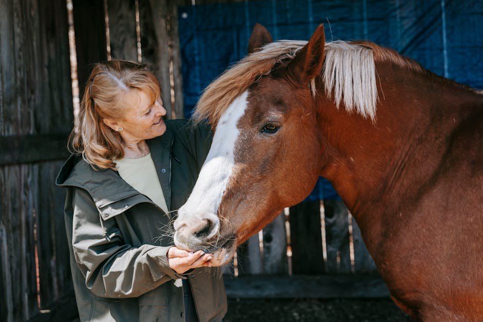 10 Things About Horses that Make Equine Owners Truly Lucky and Blessed
