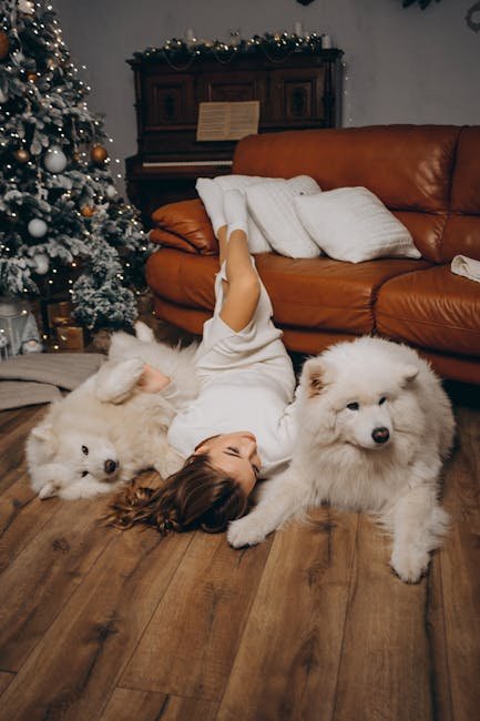 The Role of Samoyeds in Family Life (image credits: pexels)