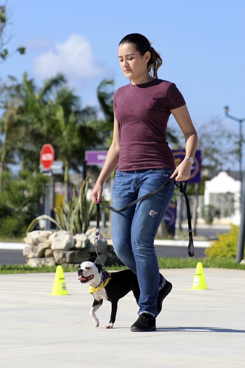 Teaching the “Heel” Command (image credits: pixabay)