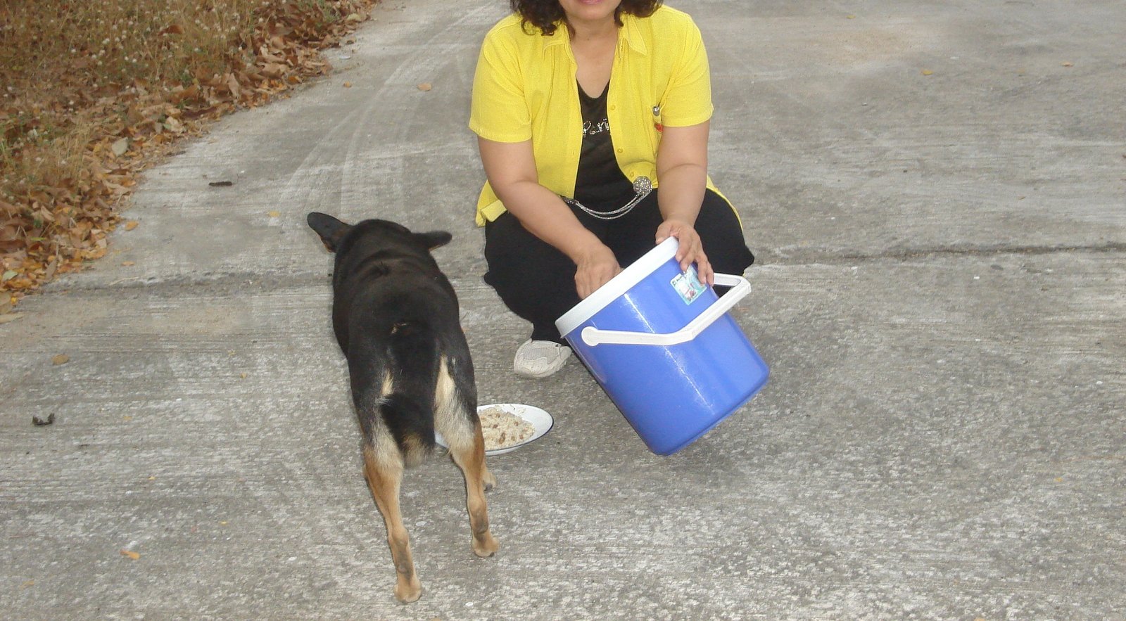 Building a Stronger Bond Through Mealtime (image credits: wikimedia)