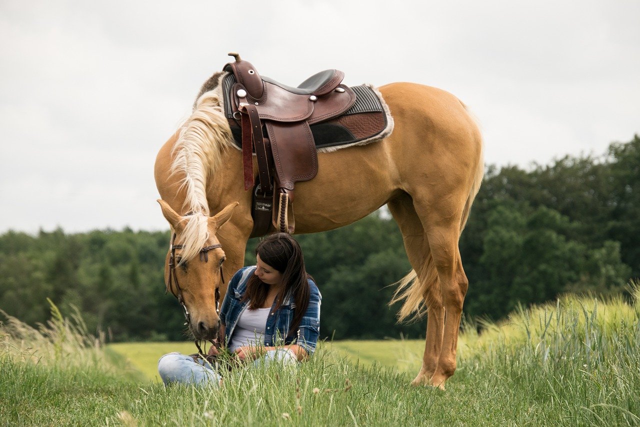 10 Little Things To Do That Will Make Horses Love You Even More