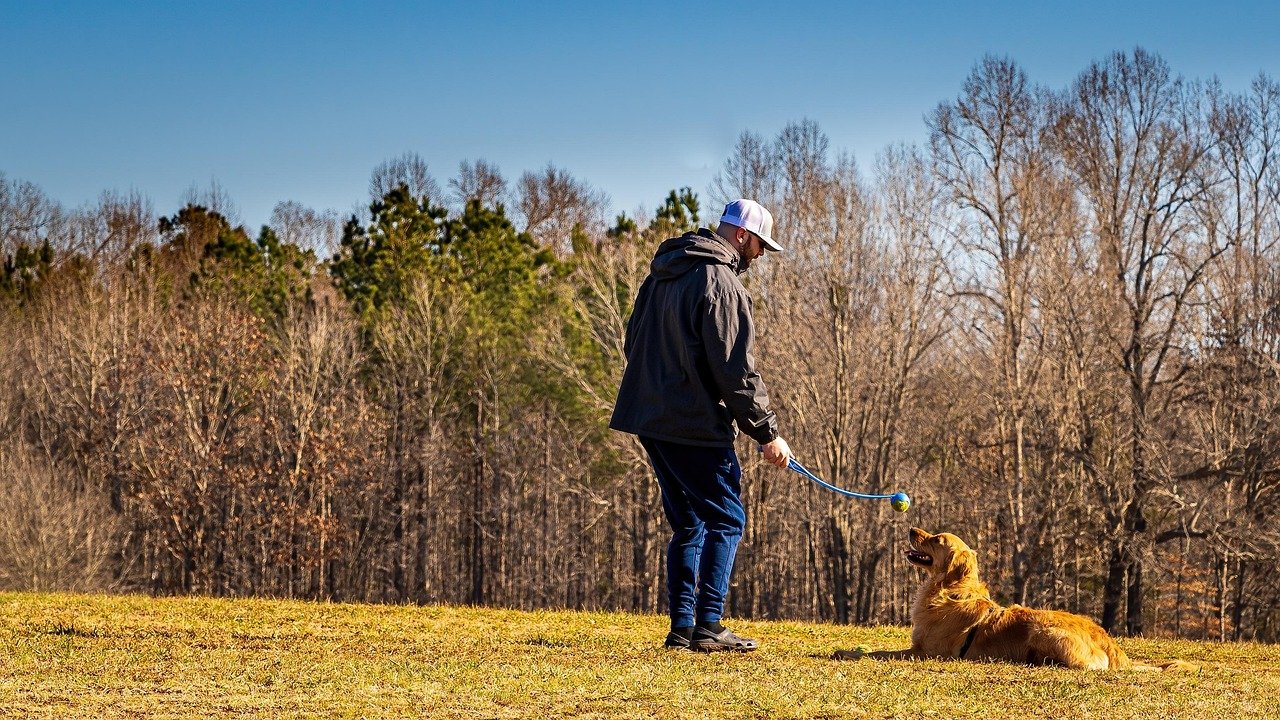How to Stop Your Large Dog Constantly Jumping Up on Friends