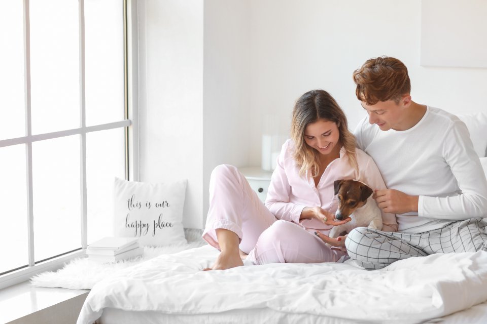 Morning Wake-Up Calls (image credits: stocksnap)