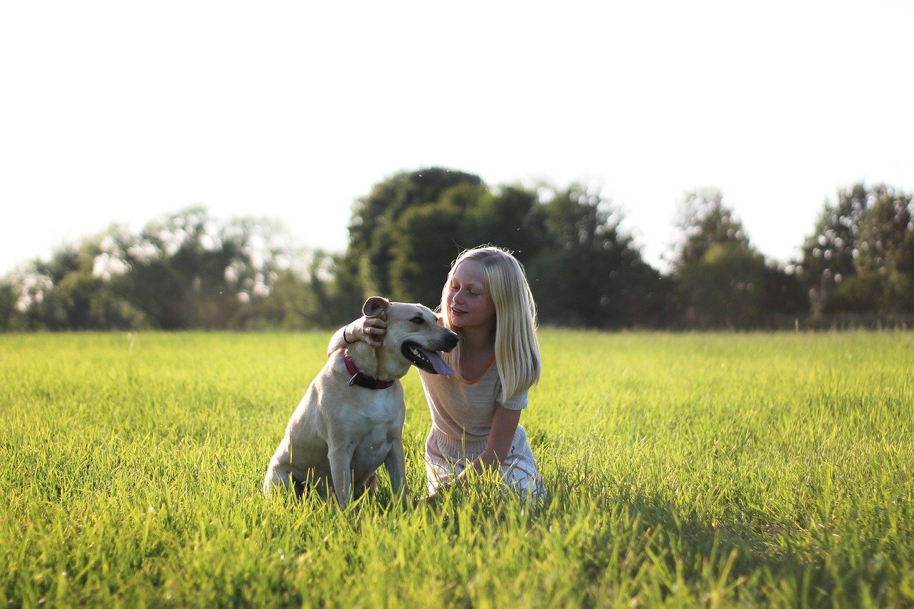 Teaching Unconditional Love (image credits: pixabay)