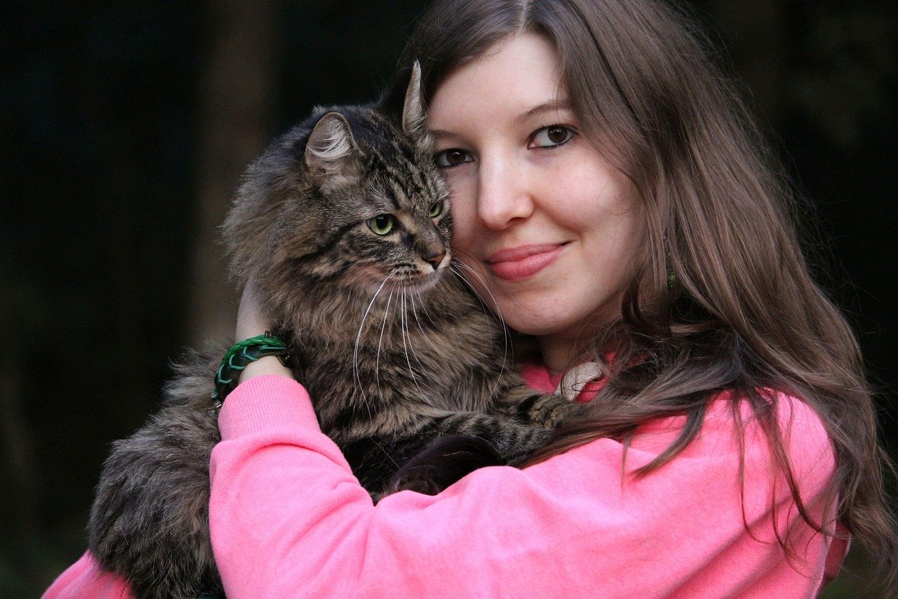 15 Cute and Quirky Habits of Indoor Cats