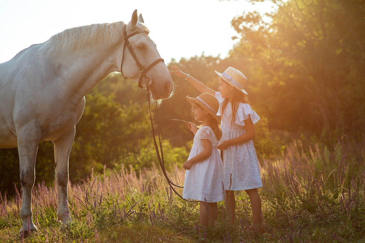 2. Following You Around (image credits: pixabay)