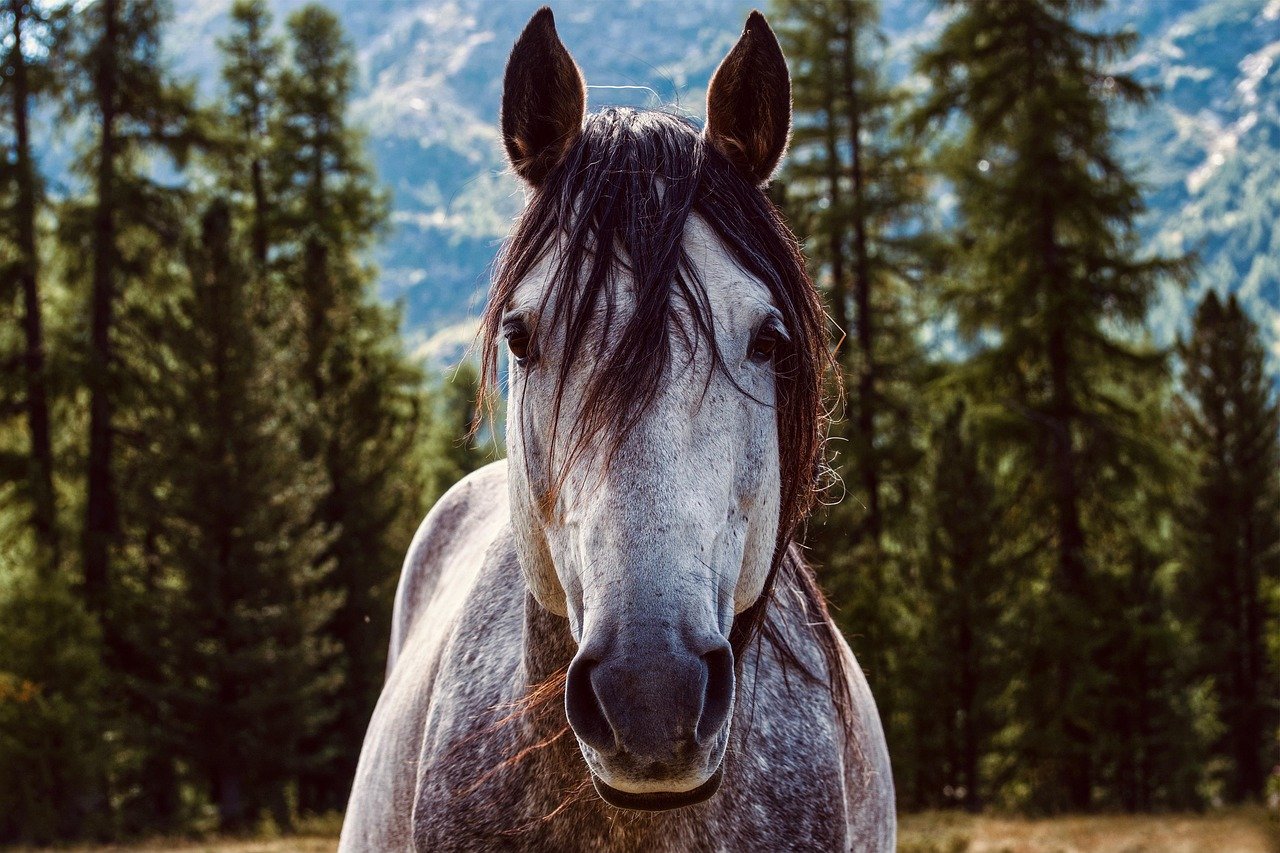 9. Gentle Blowing (image credits: pixabay)