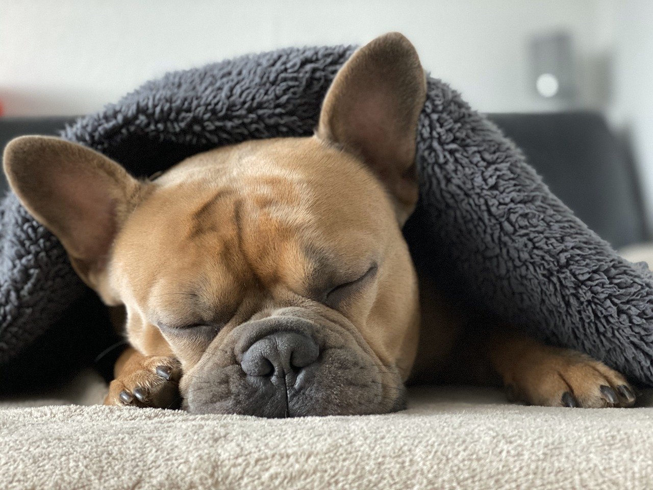 9. Changes in Sleep Patterns (image credits: pixabay)