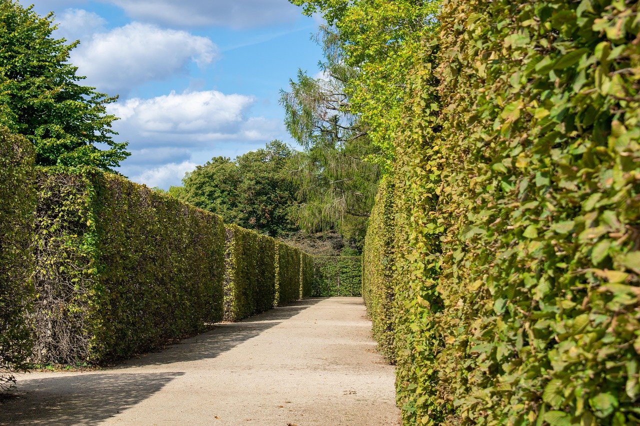 10. Obstacle Maze (image credits: pixabay)