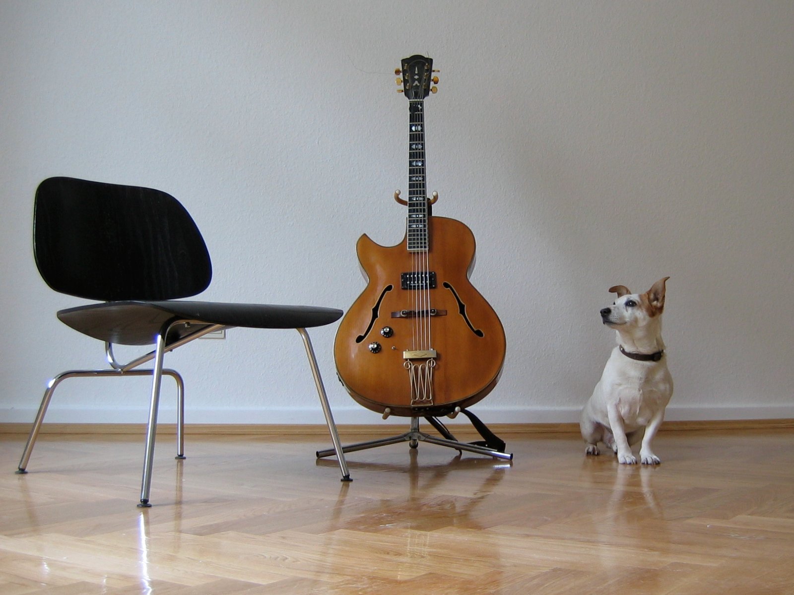 12. Musical Chairs (image credits: wikimedia)