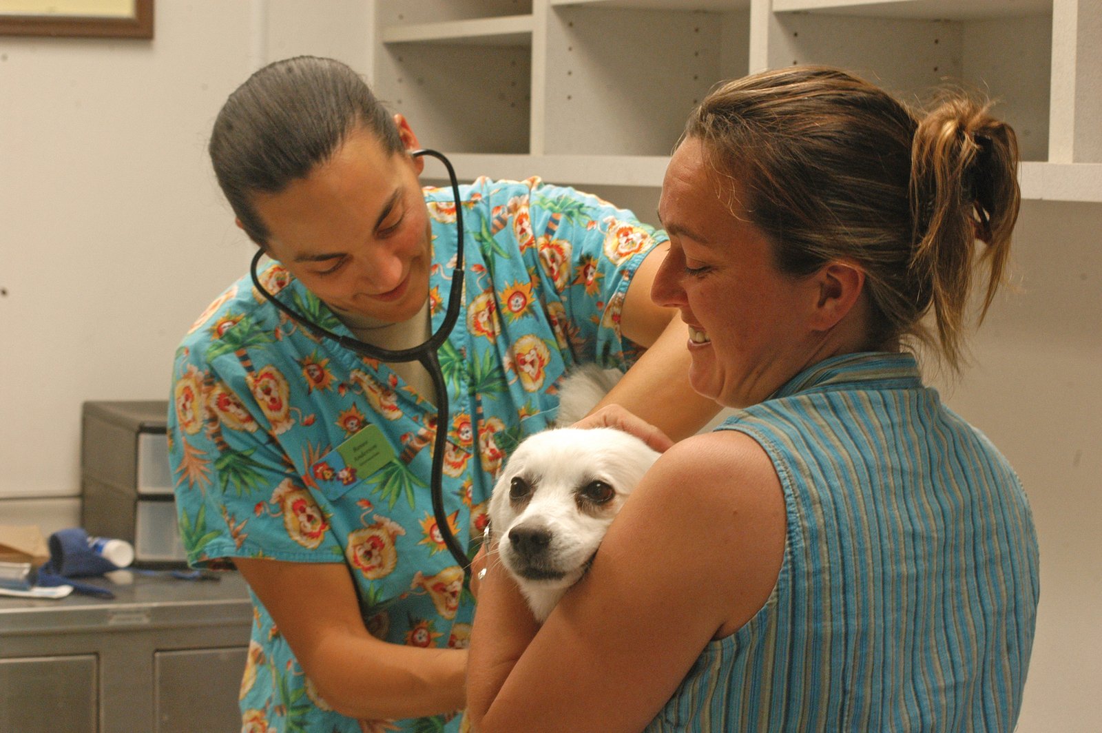 Schedule Regular Vet Visits (image credits: wikimedia)