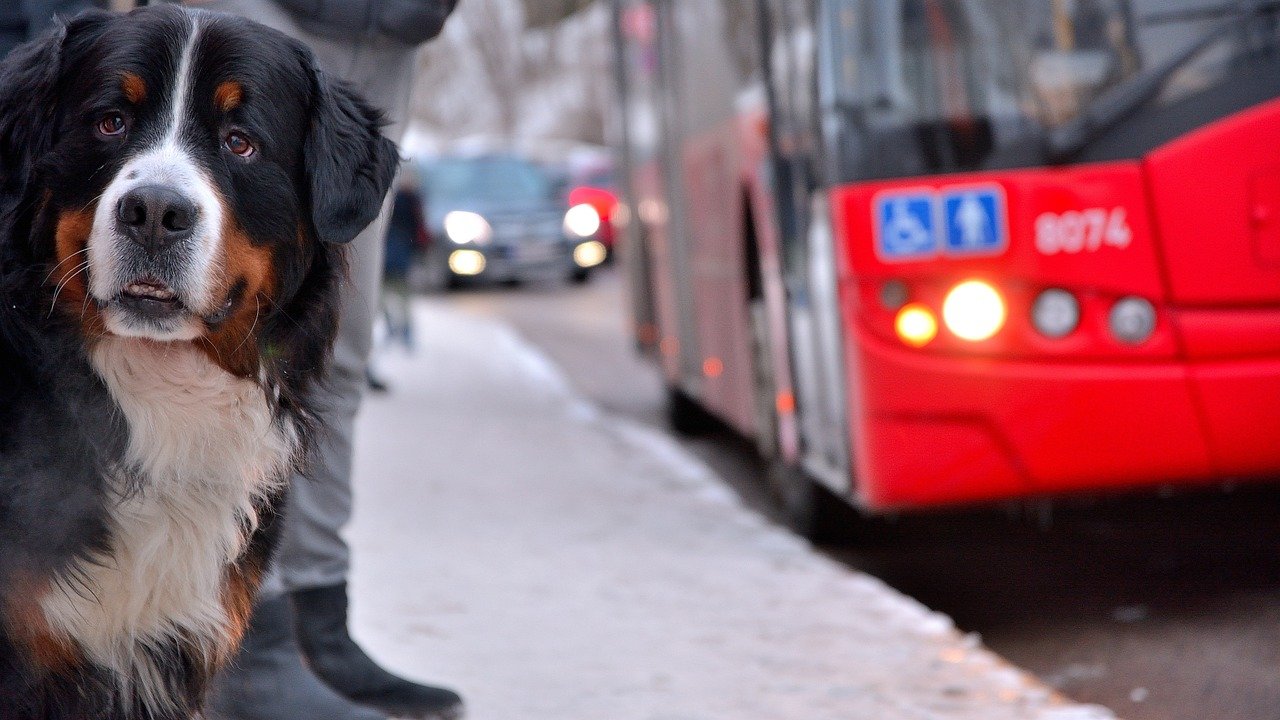 Plan Your Route and Stops (image credits: pixabay)