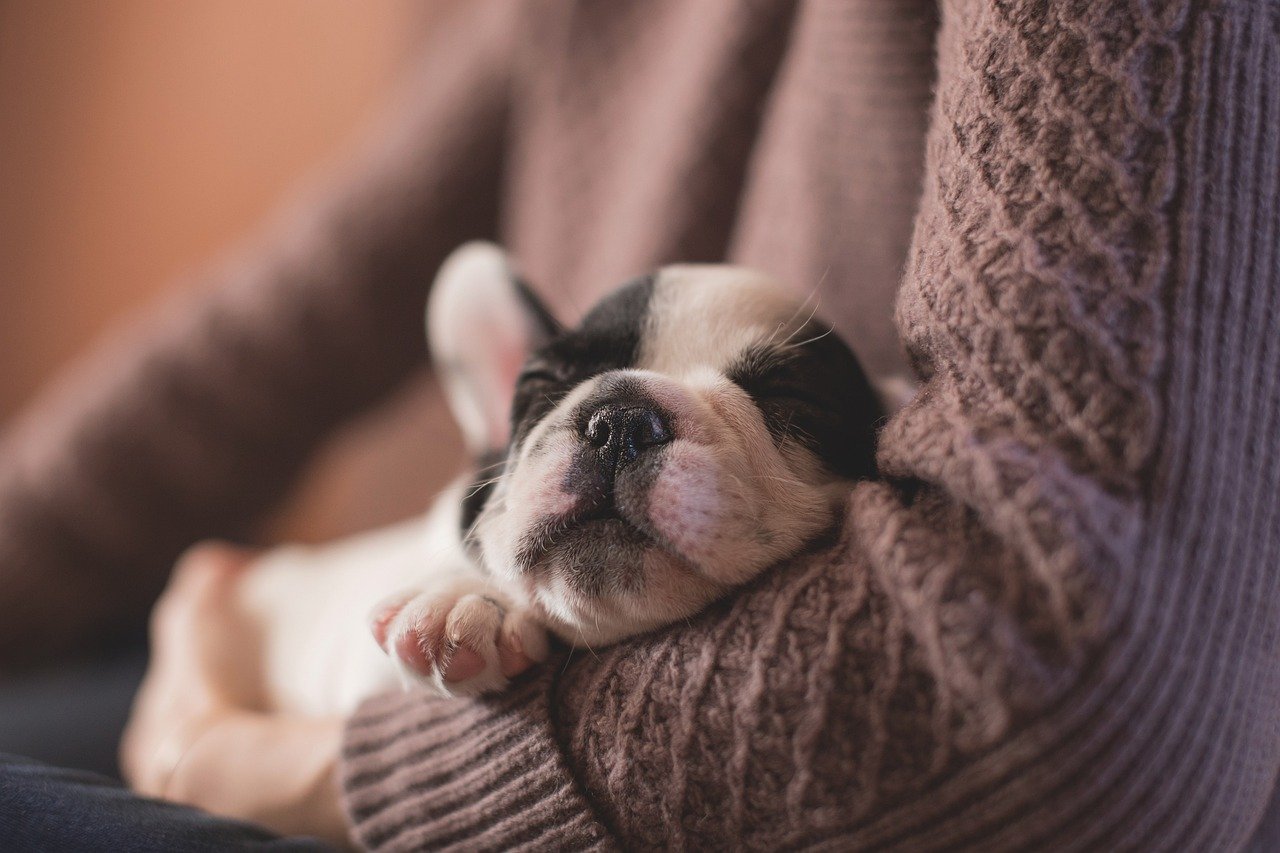 Maintain a Quiet Environment (image credits: pixabay)
