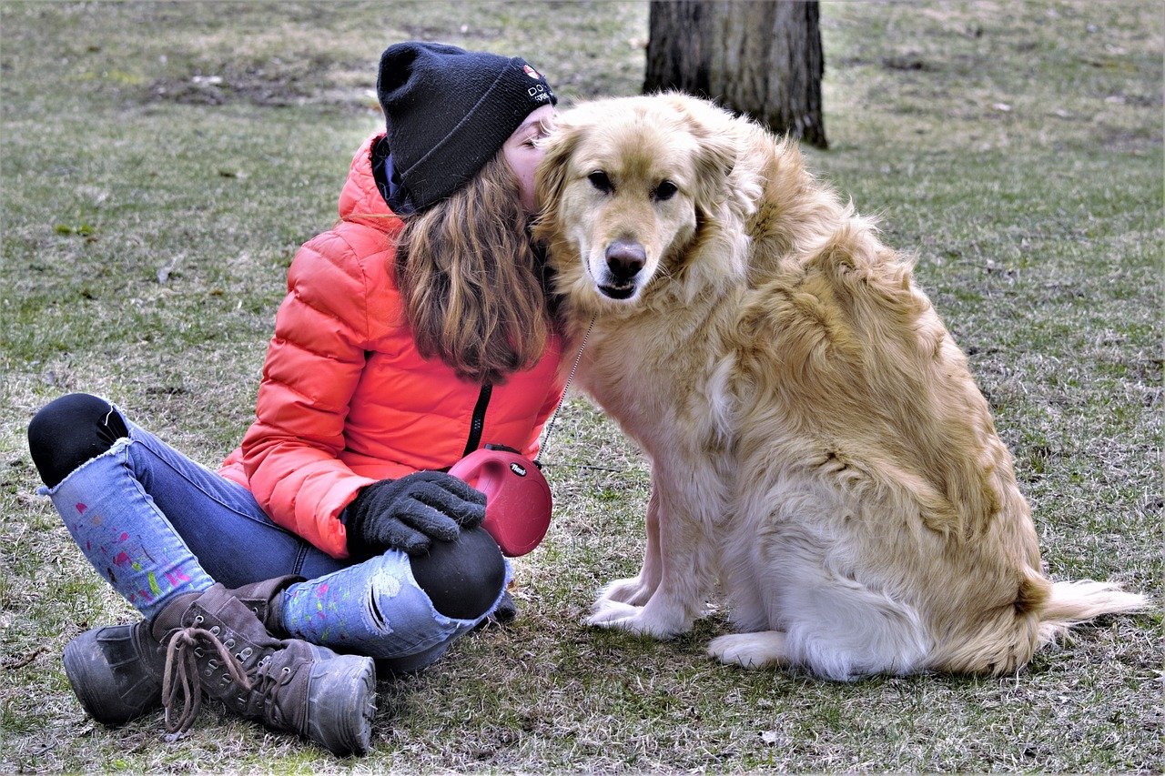 Golden Retriever: The Empathetic Companion (image credits: pixabay)