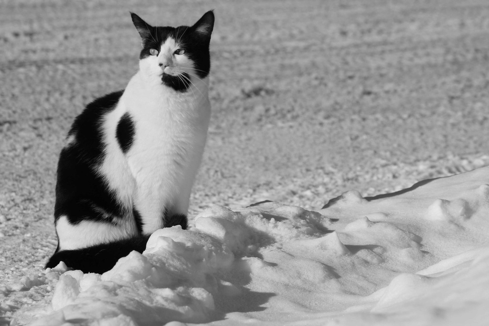 Changes in Eating Habits (image credits: wikimedia)