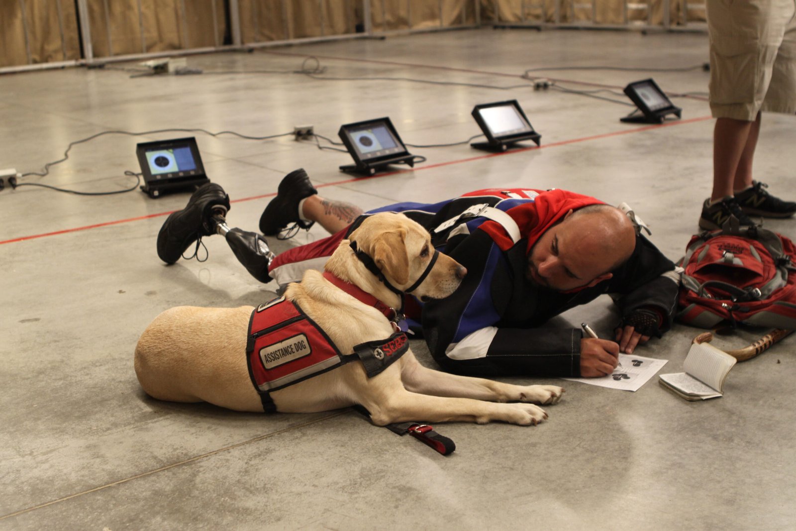 Offer Mental Stimulation (image credits: wikimedia)