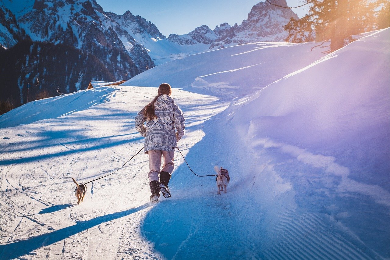 Physical Activity: Encouragement Through Pets (image credits: pixabay)