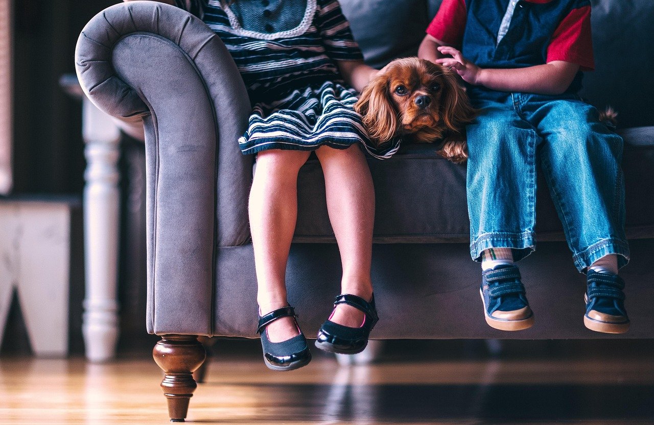 Caring for Another Being (image credits: pixabay)