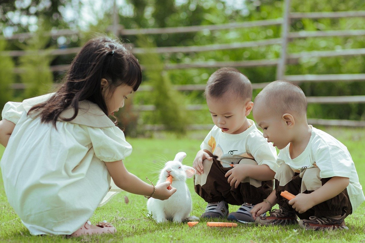 3. Rabbits: Playful and Gentle (image credits: pixabay)