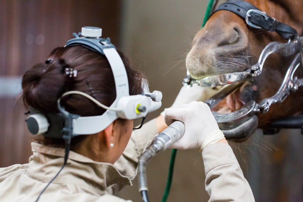 Regular Health Check-Ups (image credits: rawpixel)