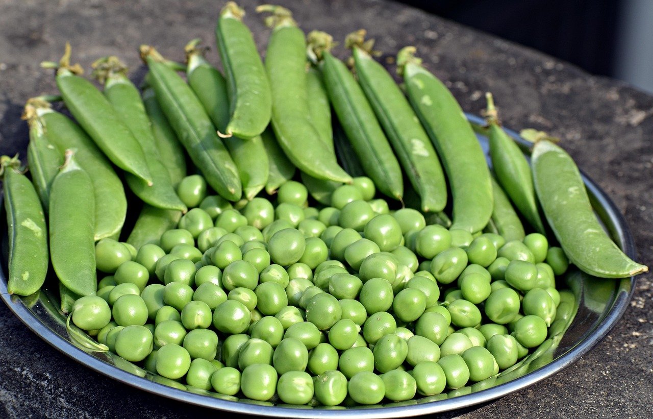 4. Green Peas for Digestive Health (image credits: pixabay)