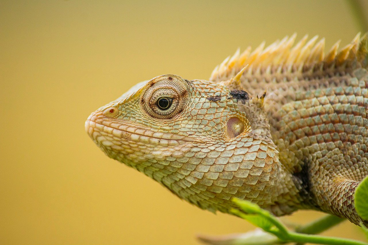 Handling with Care (image credits: pixabay)