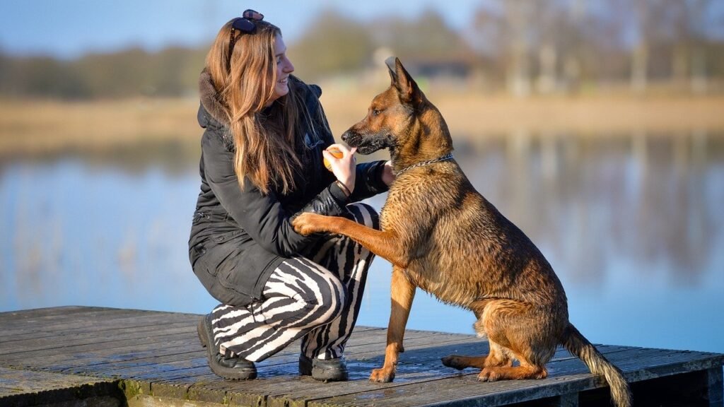 woman, german shepherd, lake, dog, animal, nature, bond, friendship, friends, pet, canine