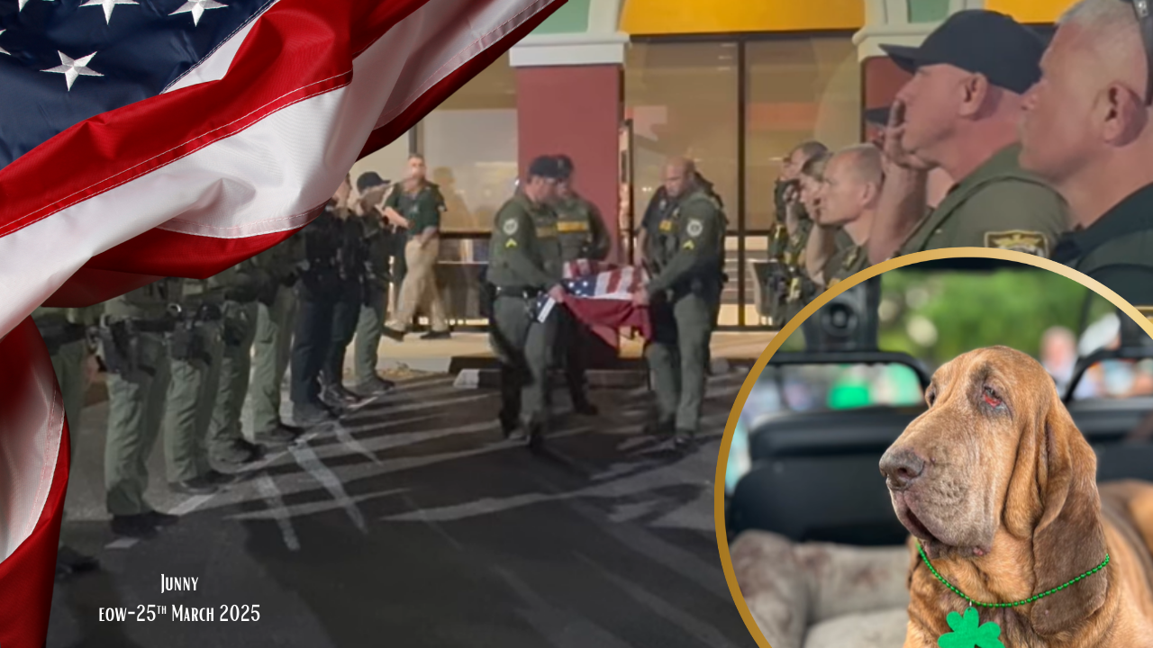 Florida County Police Honor Top K9 Who Loses Final Battle To Cancer