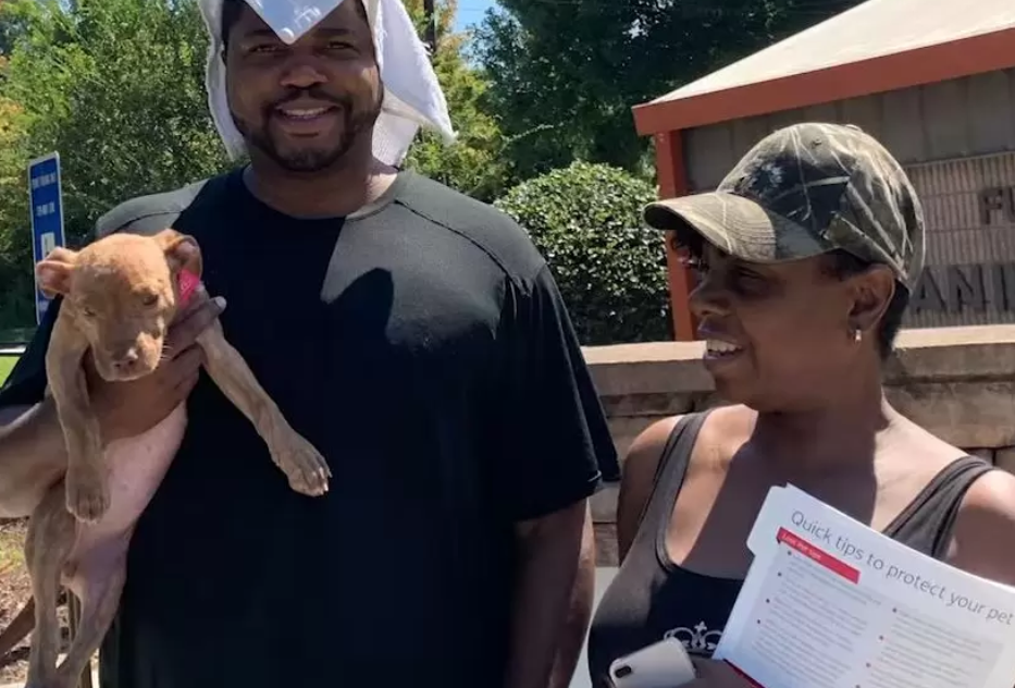 Rescued and recovered puppy with his new family