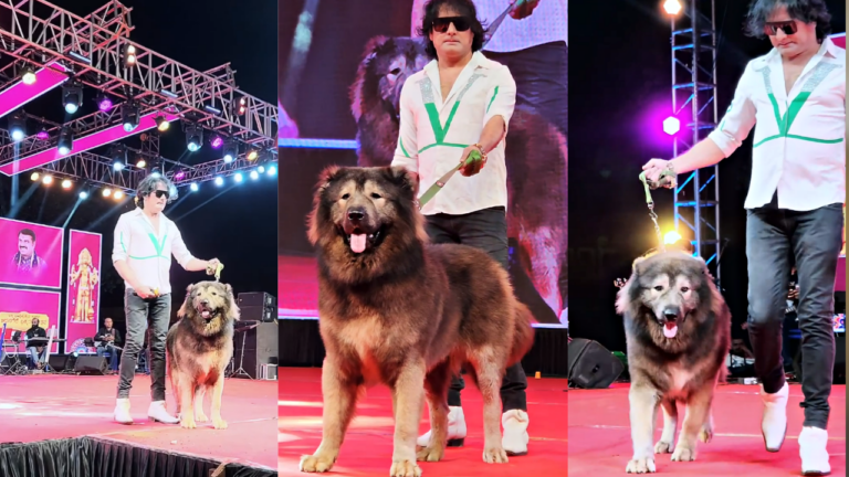 World's Most expensive Dog