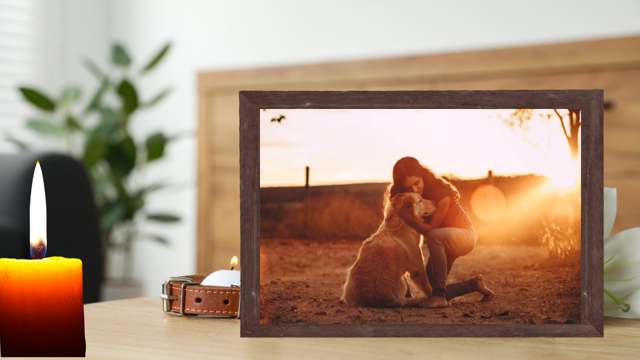 Why You Should Always Be There Holding Your Dog’s Paw As They Cross That Rainbow Bridge