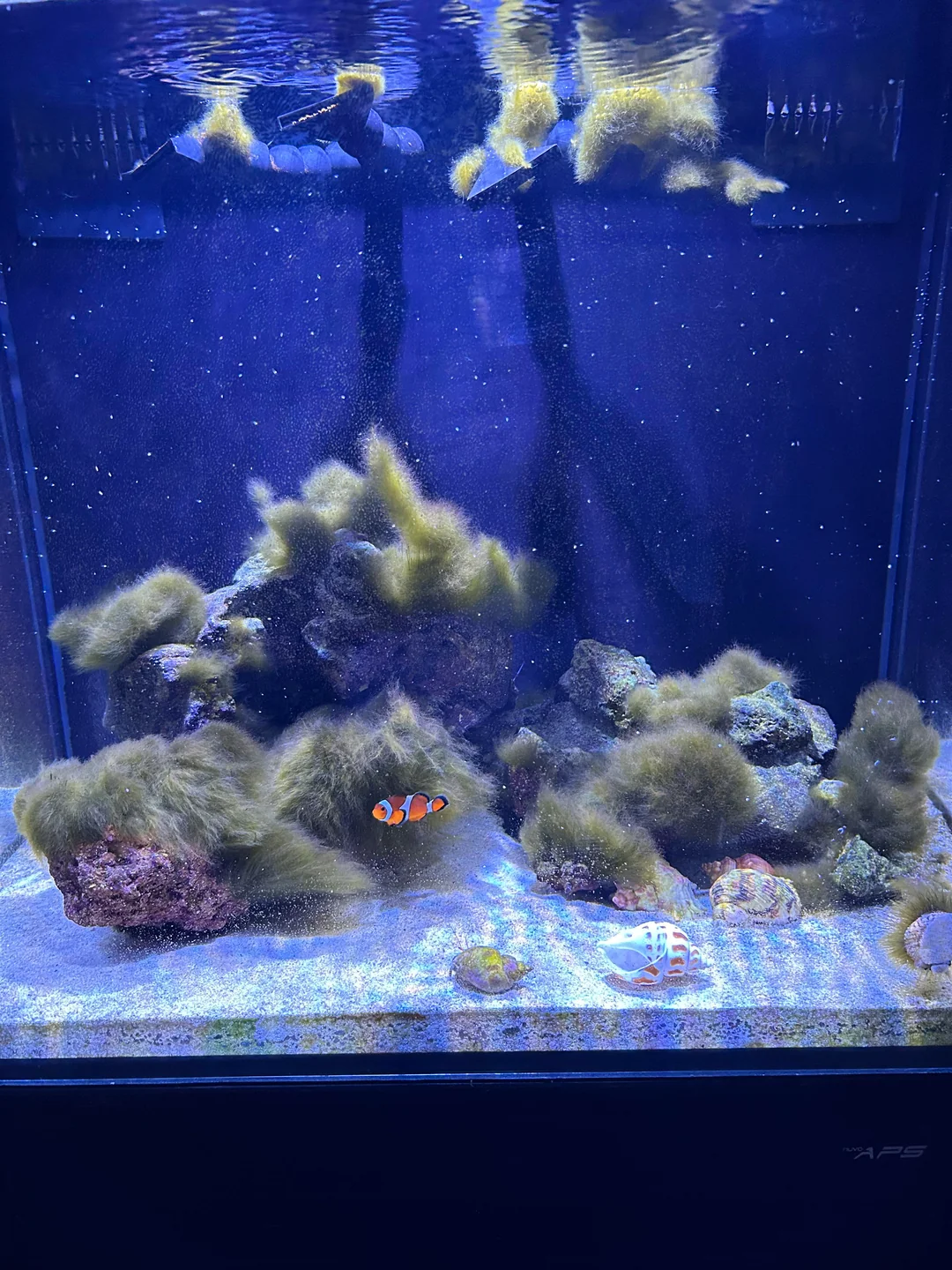 Seek Professional Help When Needed (image credits: Source: Reddit)