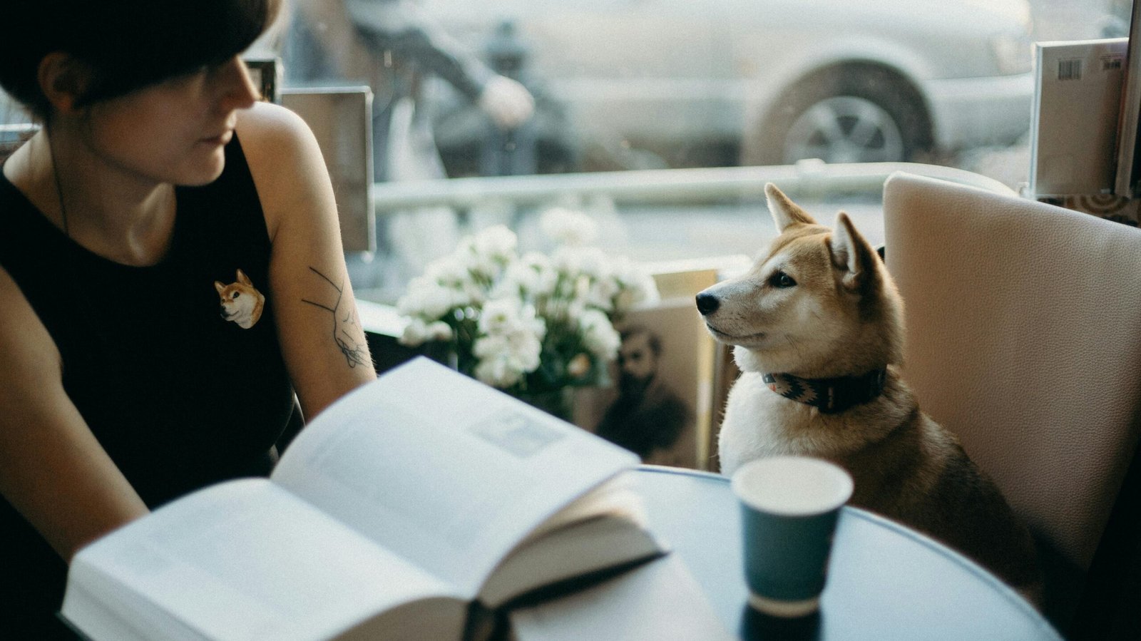 Eye Contact with Soft Eyes (image credits: Source: Pexels)