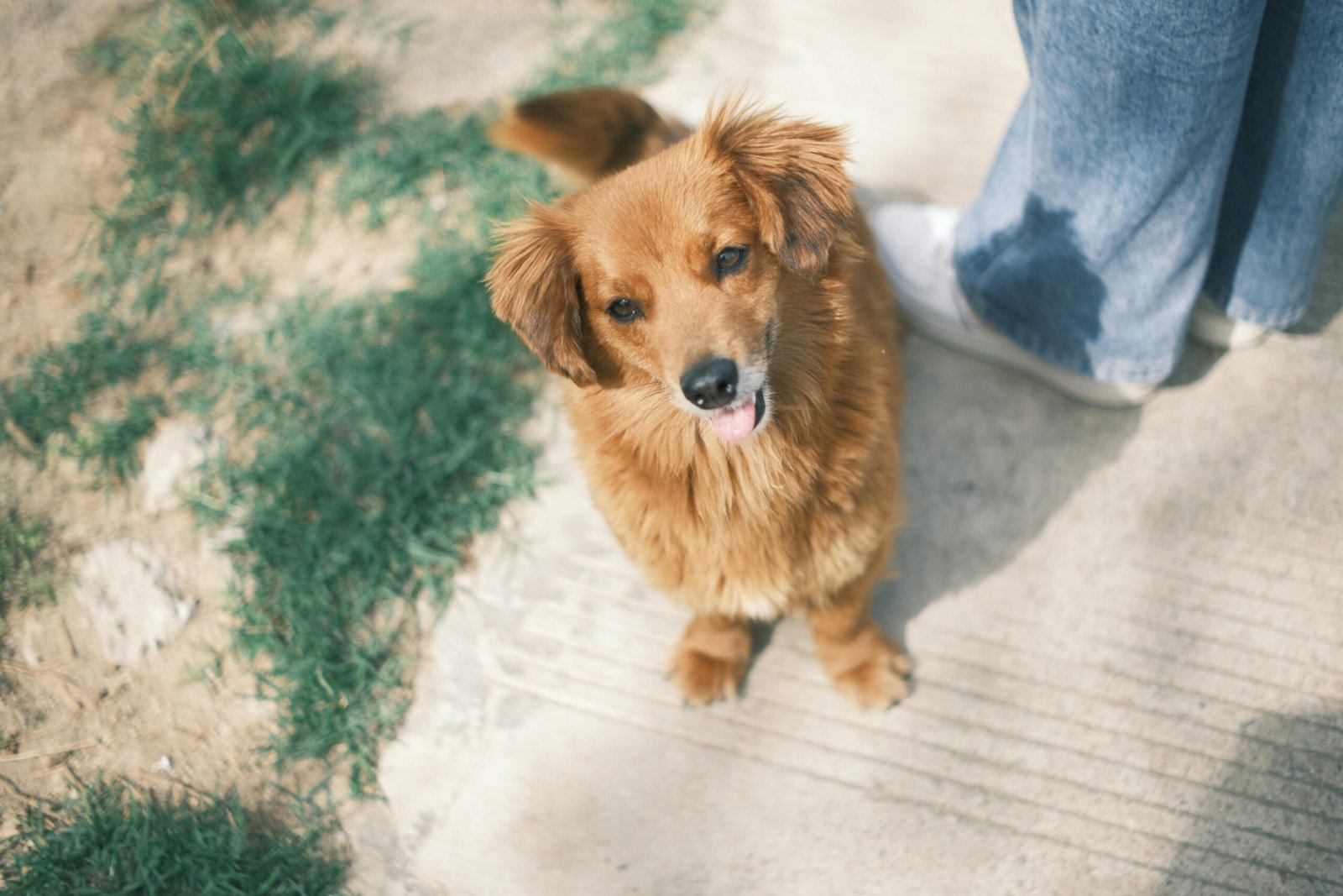 Sitting on Your Feet (image credits: Source: Pexels)