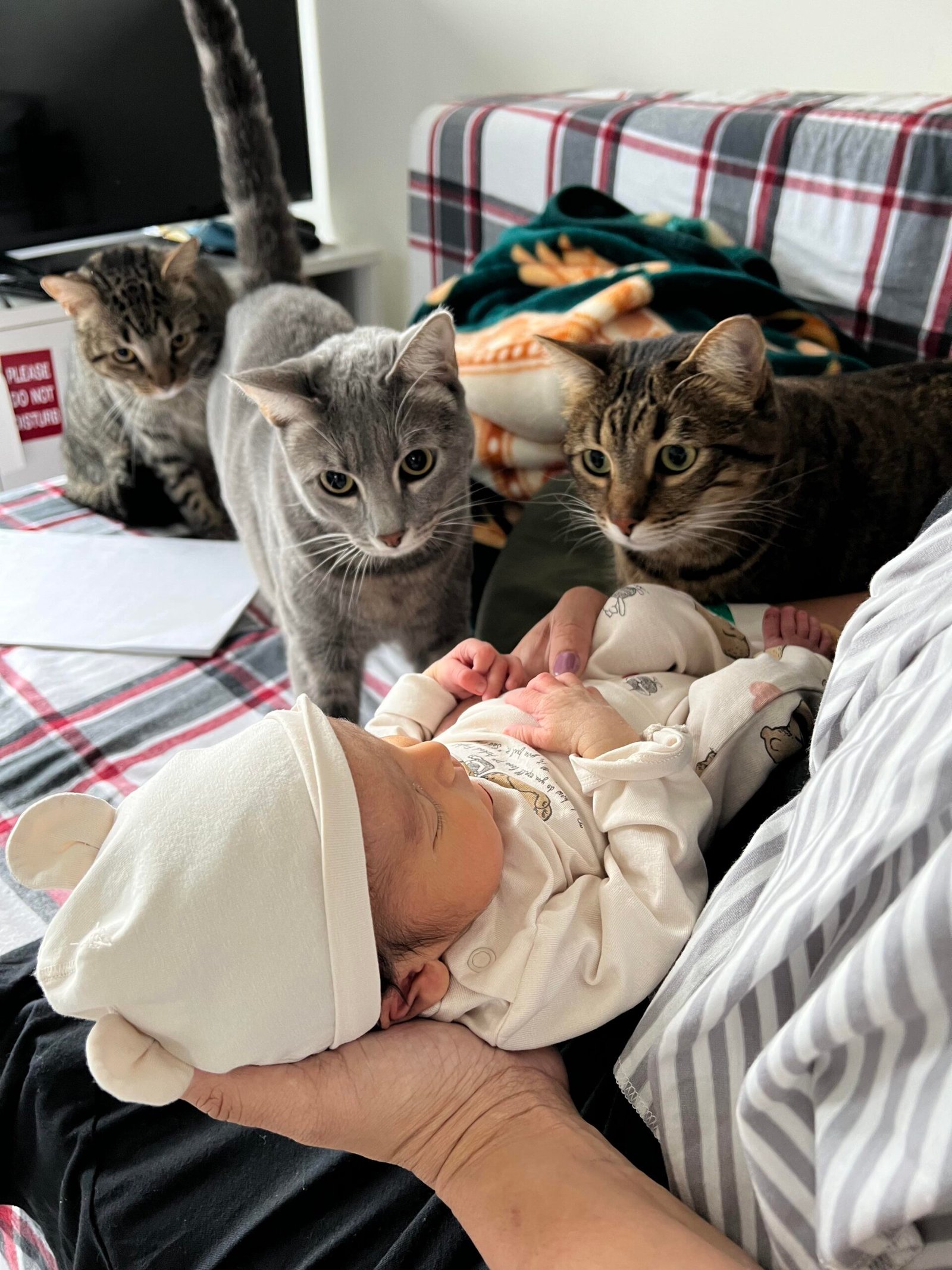 Conclusion: Harmony in the Household (image credits: Source: Reddit)