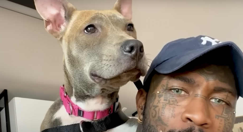 Pitties