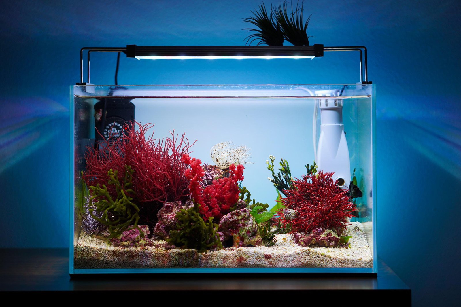 Maintain Optimal Water Quality (image credits: Source: Reddit)