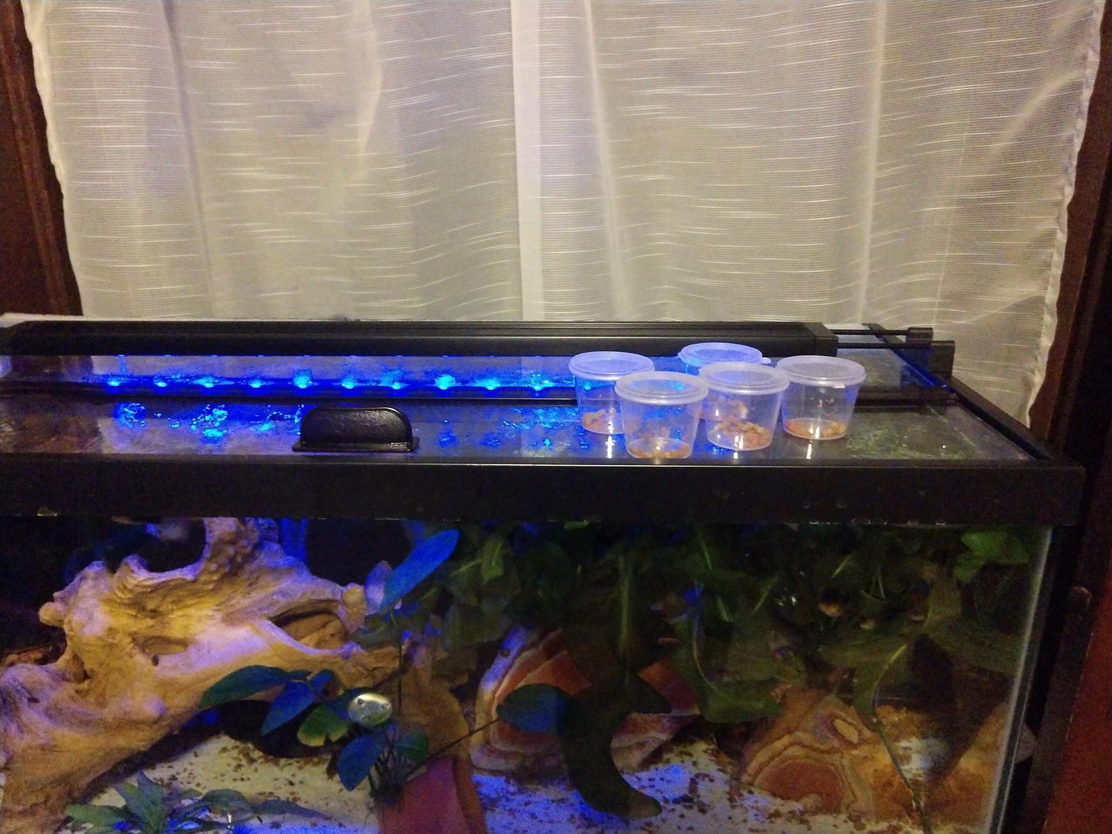 Ensure Proper Nutrition (image credits: Source: Reddit)