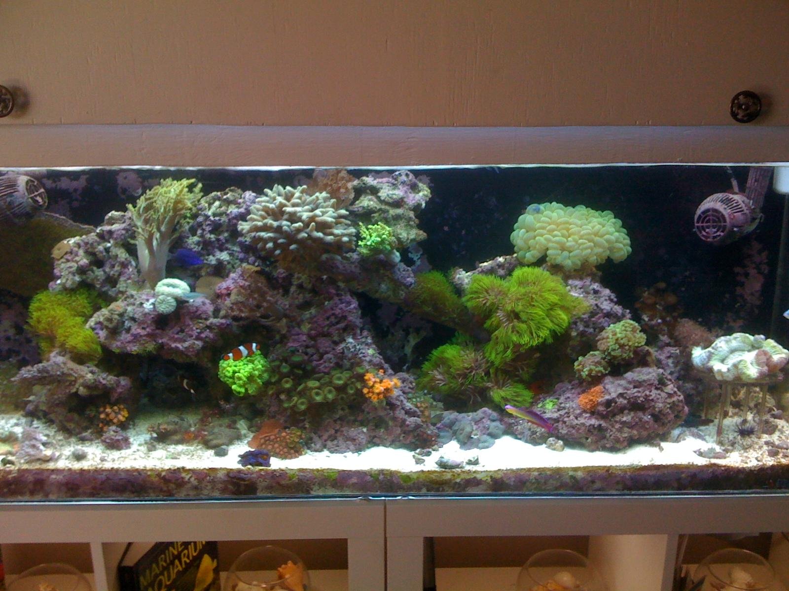 Regular Tank Maintenance (image credits: Source: Reddit)