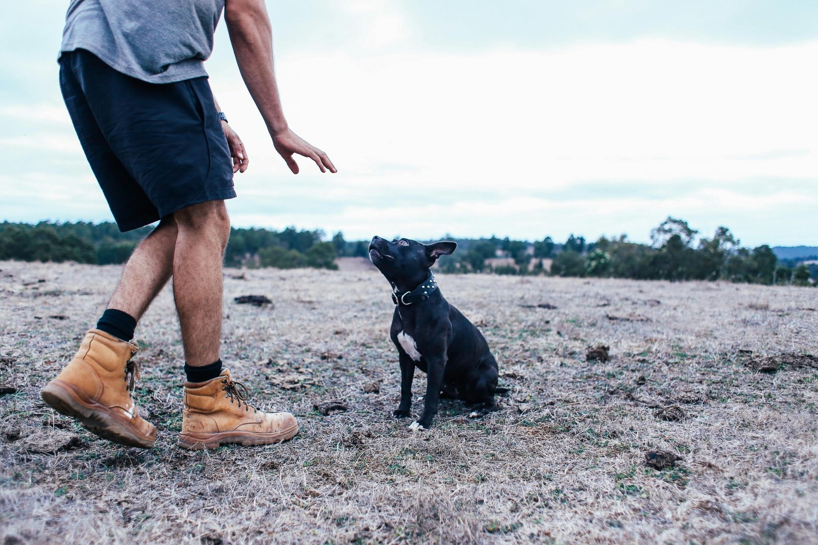 Regular Supervision (image credits: Source: Pexels)