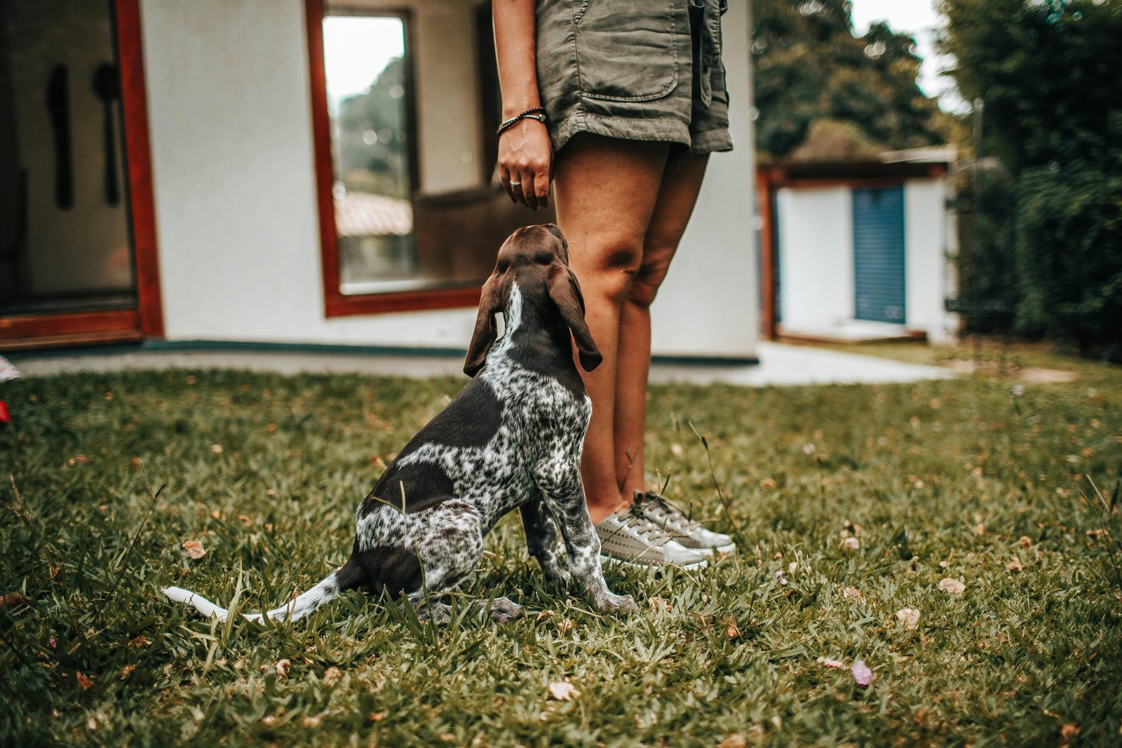 Staying Patient and Consistent (image credits: Source: Pexels)