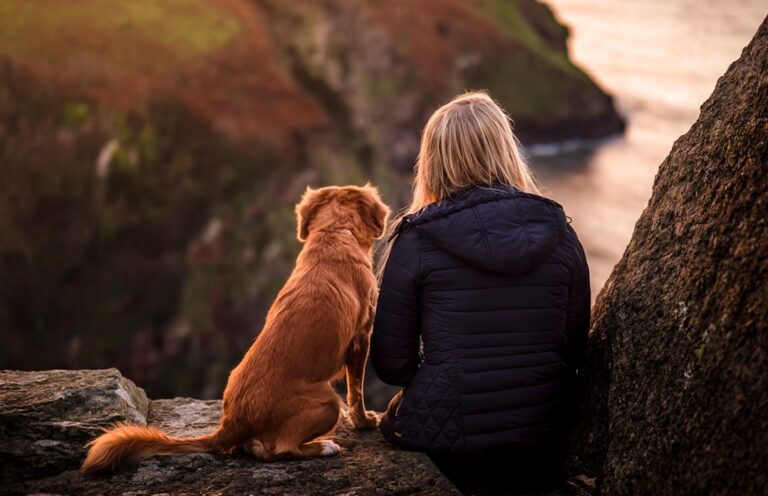 dog moments