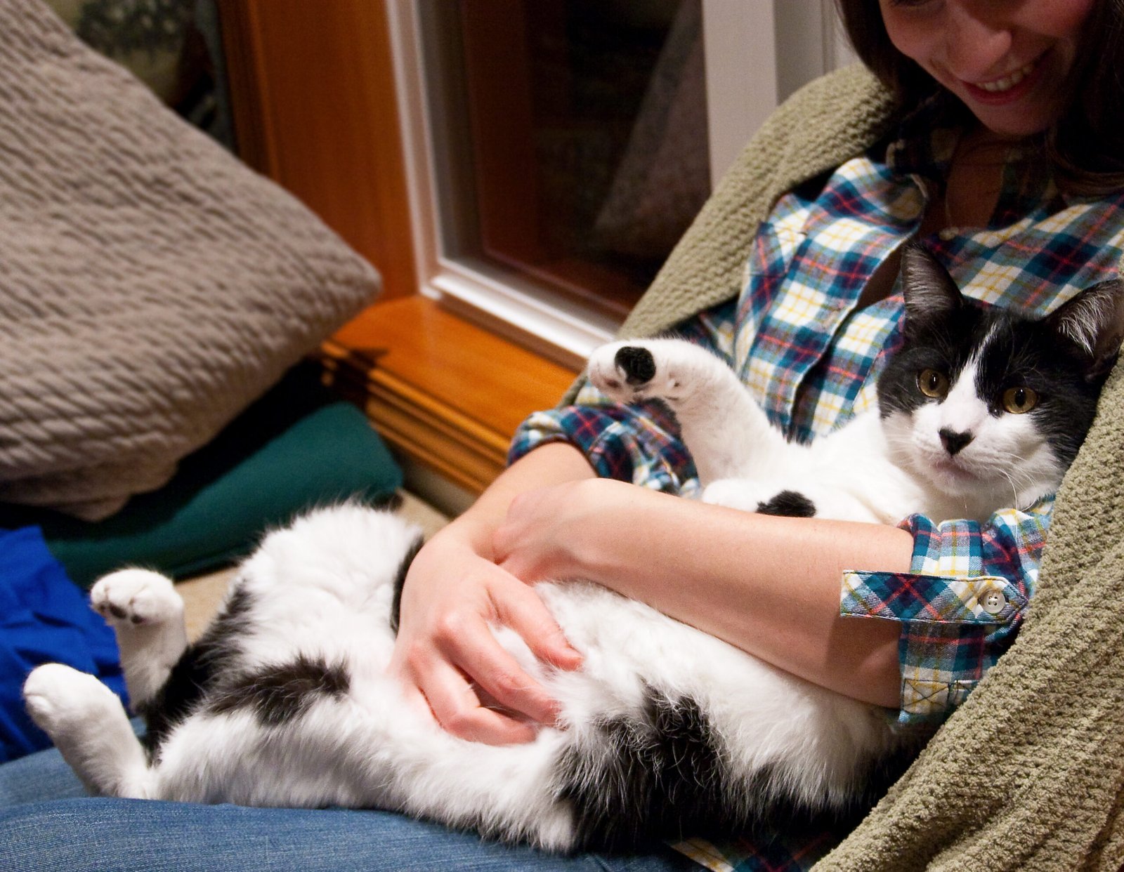 The Loving Lap Cuddle (image credits: wikimedia)
