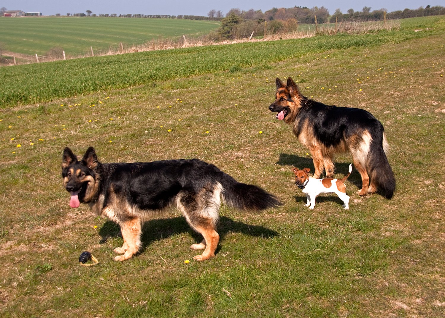 Exercise Enthusiast (image credits: wikimedia)