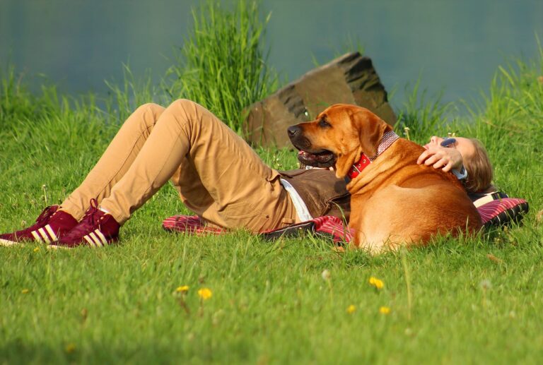 The Secret Reason Big Dogs Make the Best Companions