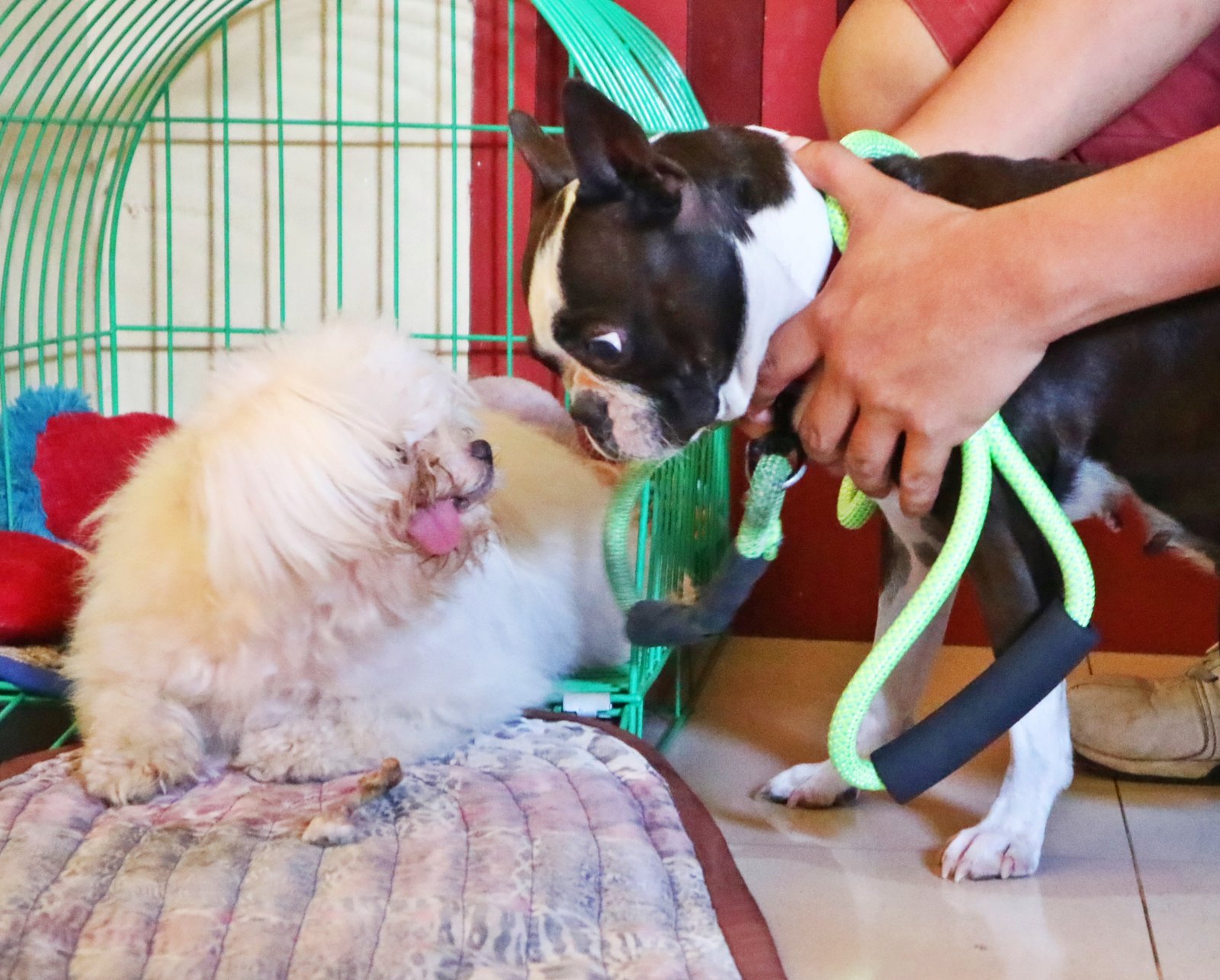 Socializing: Making New Friends (image credits: wikimedia)