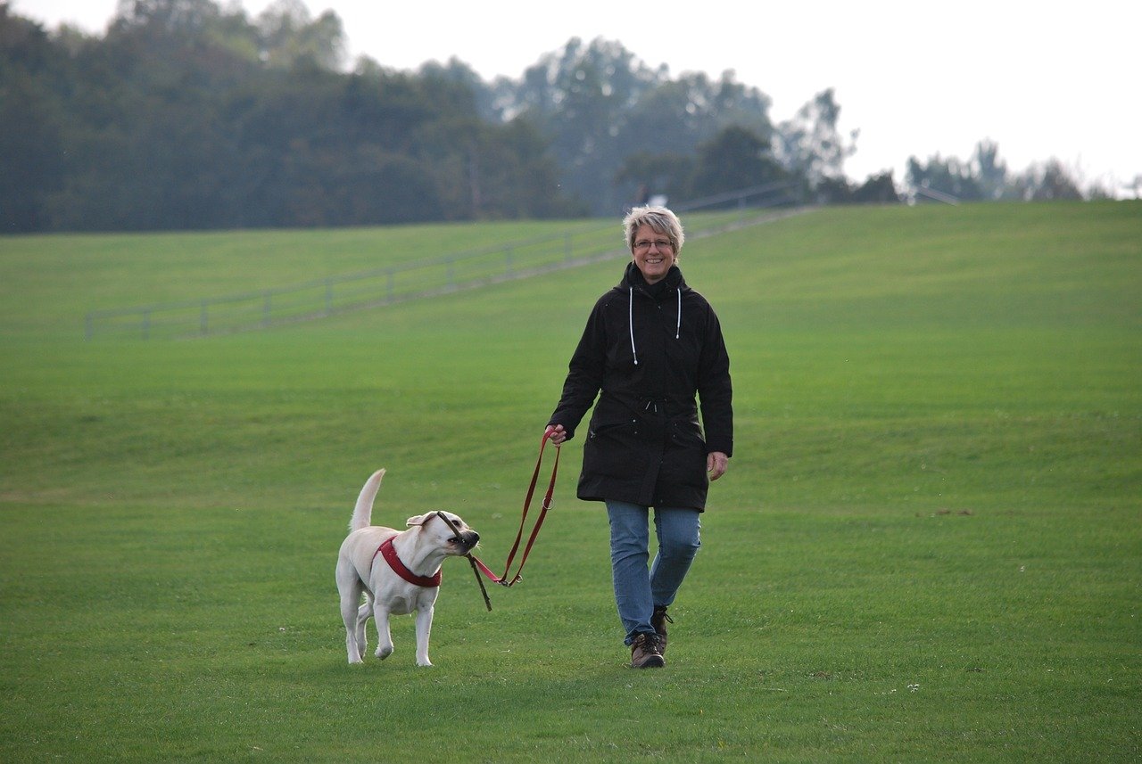10 Dog Habits That Mean They Trust You Completely—You’ll Love #6!
