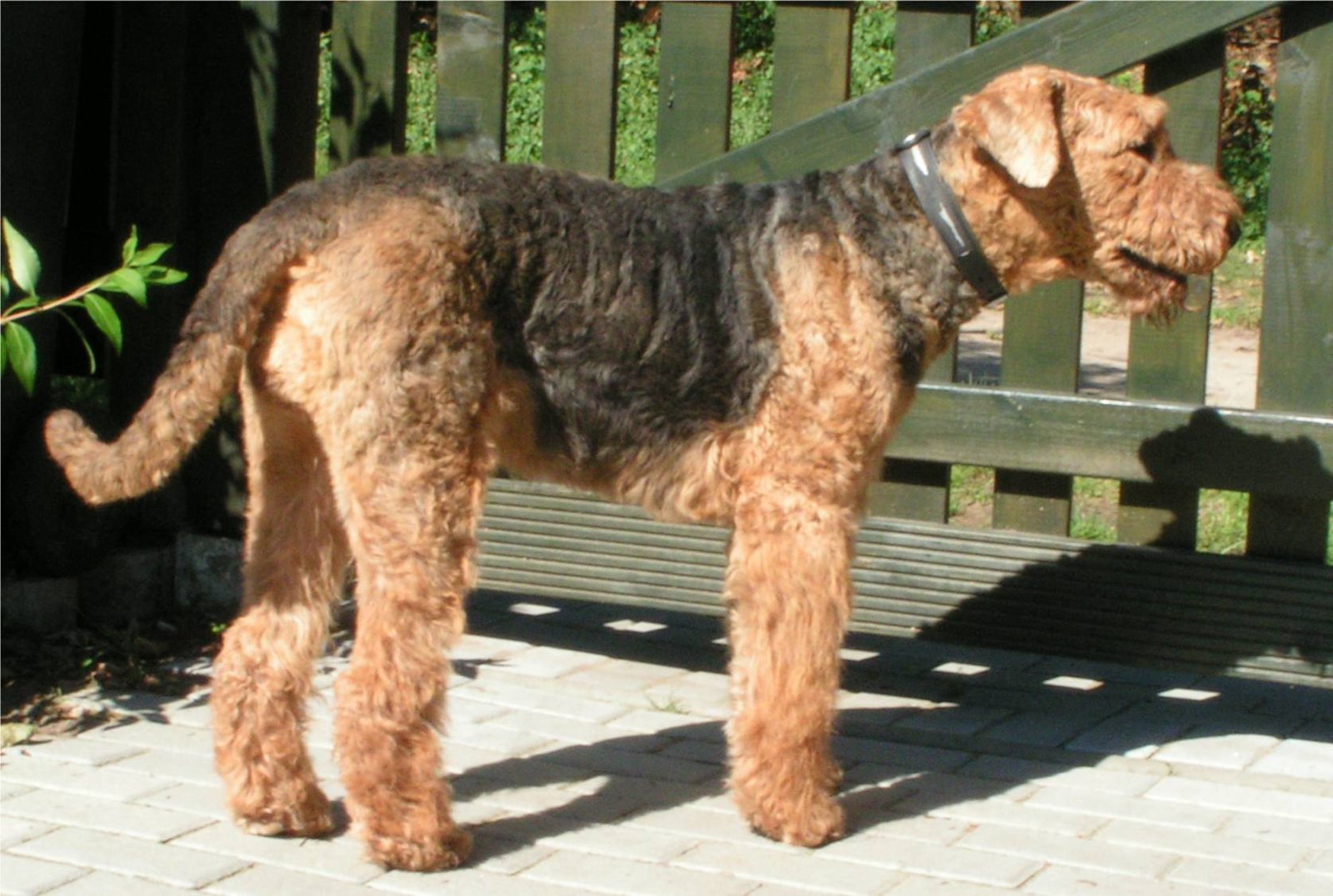 4. Protective Instinct (image credits: wikimedia)