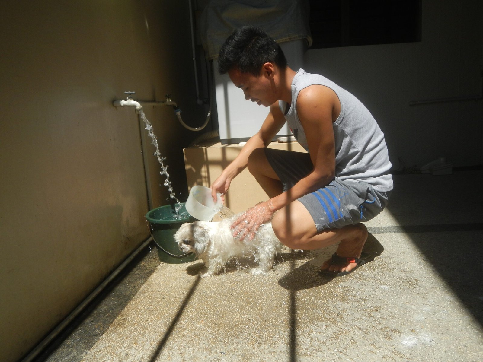 Grooming Requirements (image credits: wikimedia)