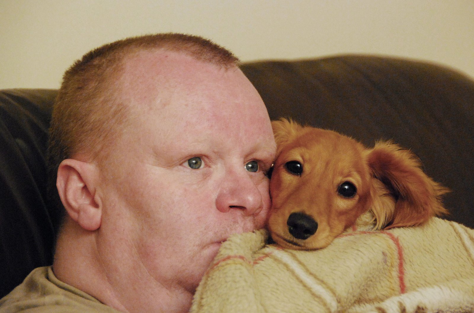 Loyal Companionship (image credits: wikimedia)